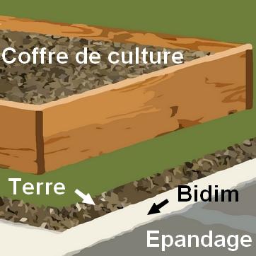 fosse septique jardin potager